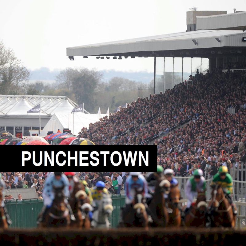 Race & Stay Official Irish Racing Tours and Packages to Suit all group sizes and budgets